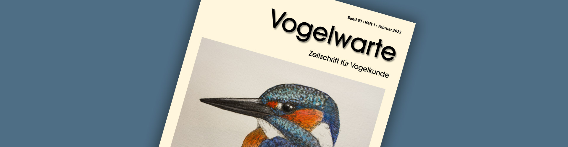 Kopfbild