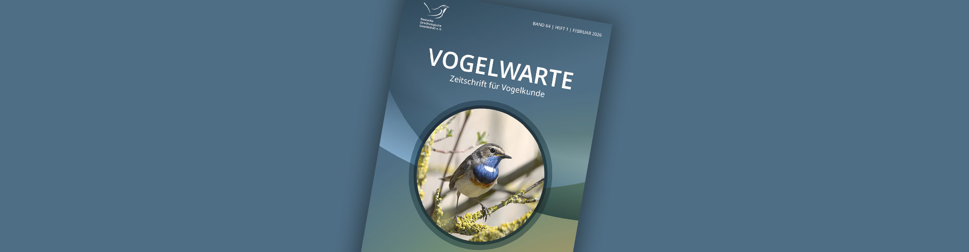 Kopfbild
