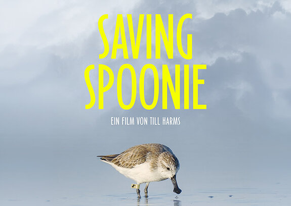 Filmstart "SAVING SPOONIE" 25.06.2026