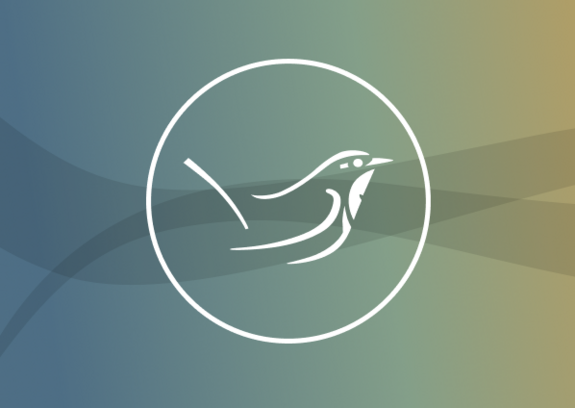 Mit der DOG zum IOC 2026  nach Yucatán, Mexiko