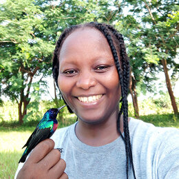 Korrespondierendes Mitglied Portrait