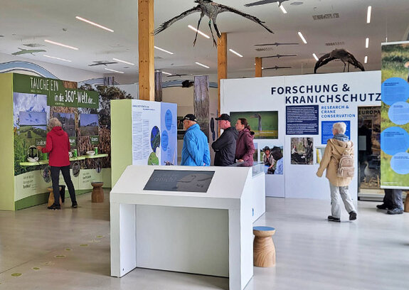 Neues Kranichzentrum an der südlichen Ostseeküste