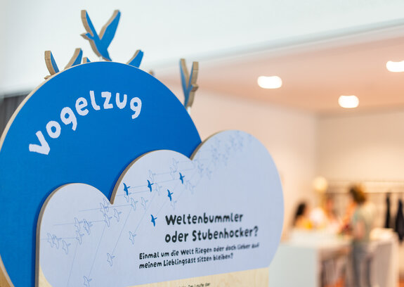 Kinder erklären Vogelzug