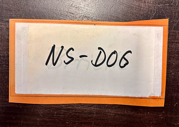 DOG gründet Kommission „Geschichte und Verantwortung“