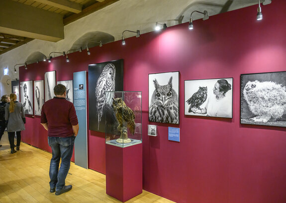 Die Vogel-WG der Heinroths in Erfurt