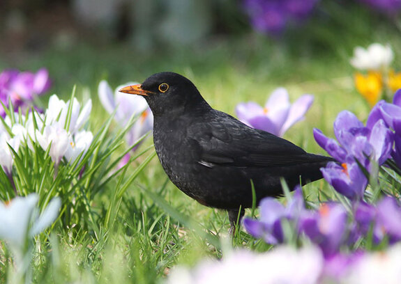 Frühjahrsschreiben der Präsidentin 