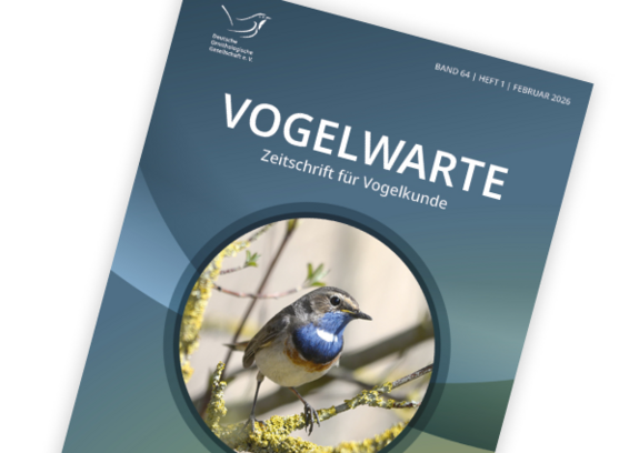Frischer Wind für die VOGELWARTE